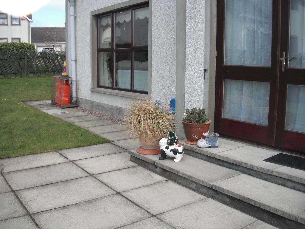 Narrow Gauge B&B Ballymoney Zewnętrze zdjęcie